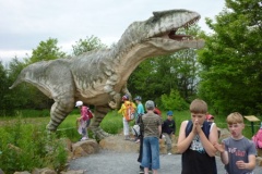 dinopark11