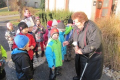 img-4851