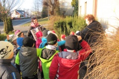 img-4854
