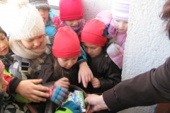 img-4859