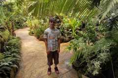 NAEA0152