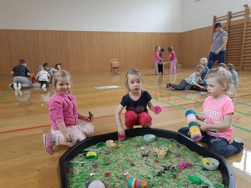 IMG 20250530 100412