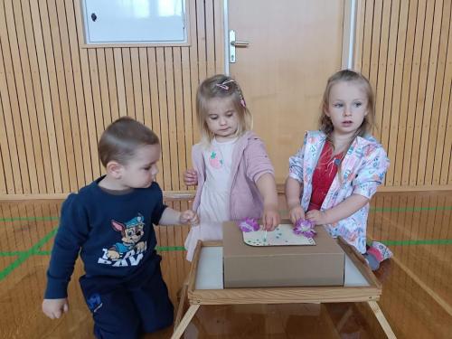 IMG 20250530 100450