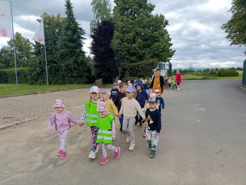 IMG 20250611 100103
