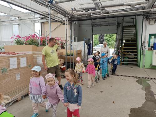 IMG 20250611 101234