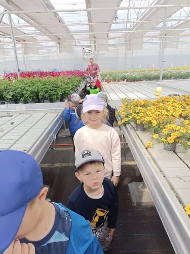 IMG 20250611 103416