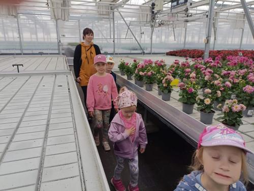 IMG 20250611 103716