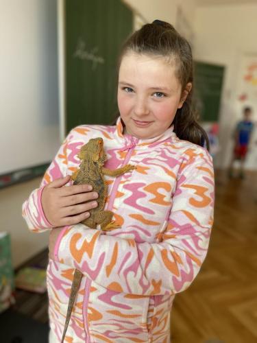 Agama vousatá na návštěvě ve 2. a 3. roč. 2025