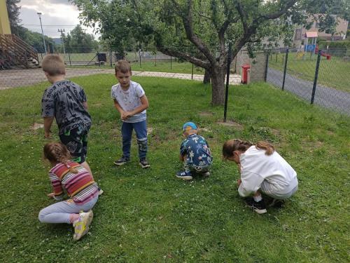 IMG 20250619 173419