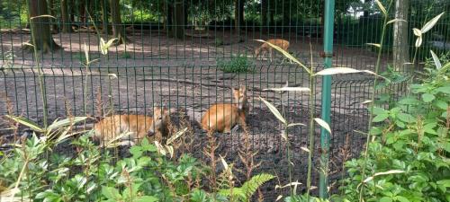 Výlet 1. ročníku, Zoo Ostrava 2025