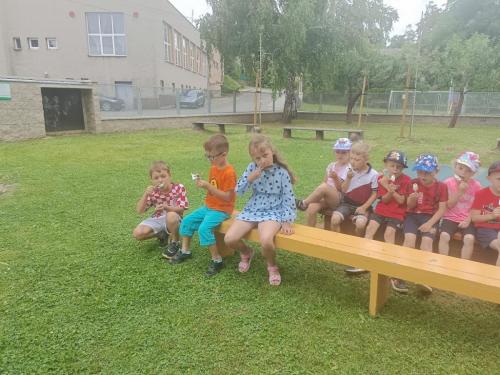 IMG 20250627 095658