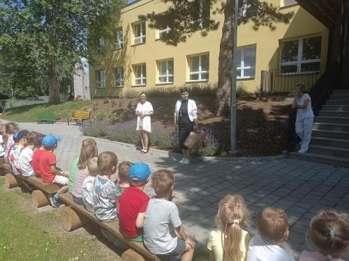 IMG 20250627 110057
