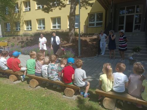 IMG 20250627 110130