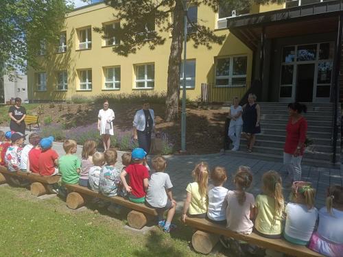 IMG 20250627 110152